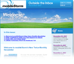 mobileStorm Digital Marketing Newsletter